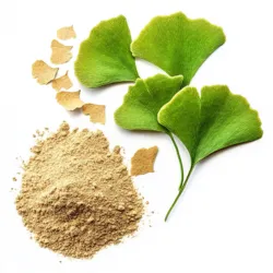 Ginkgo Biloba Extract