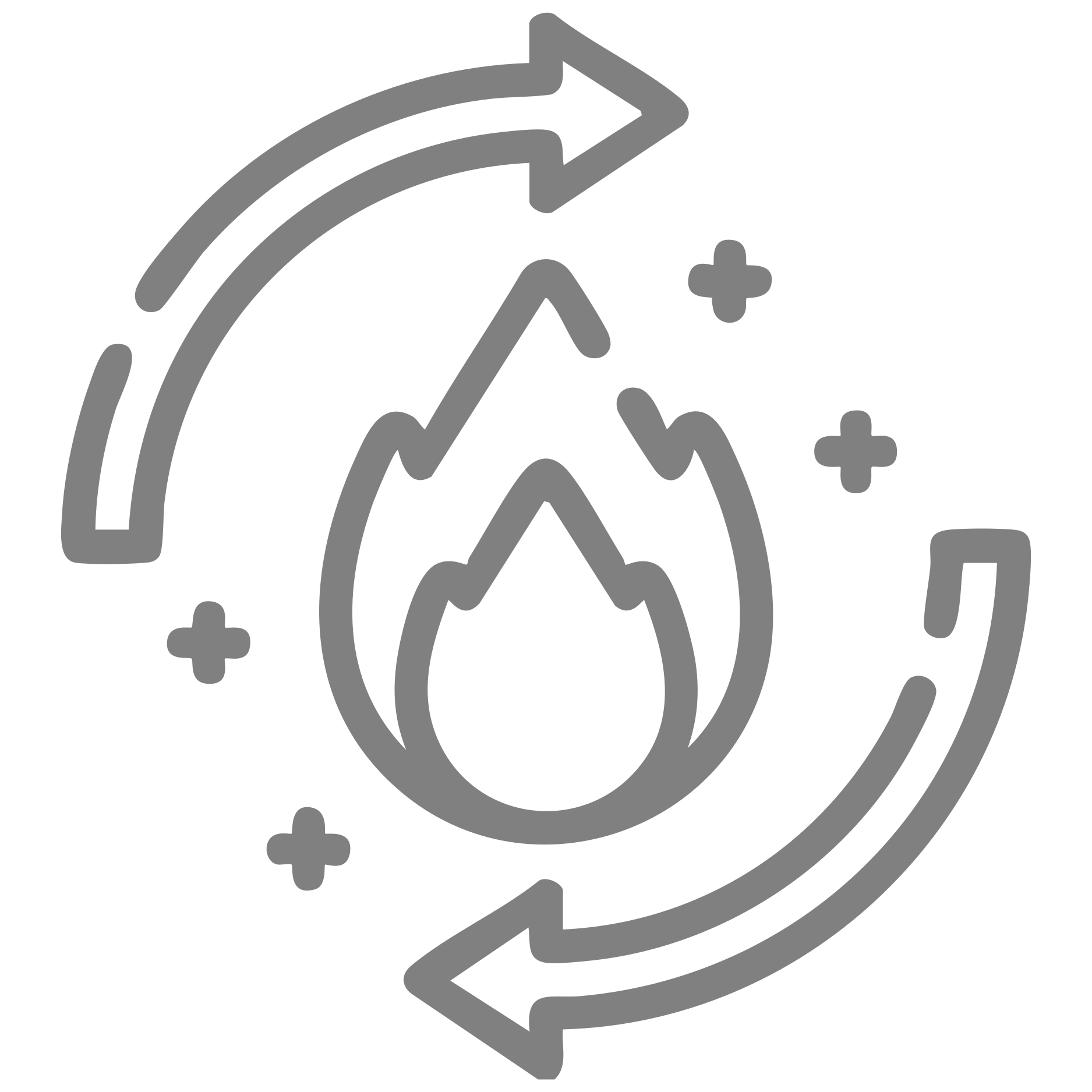 Promotes Metabolic Activity